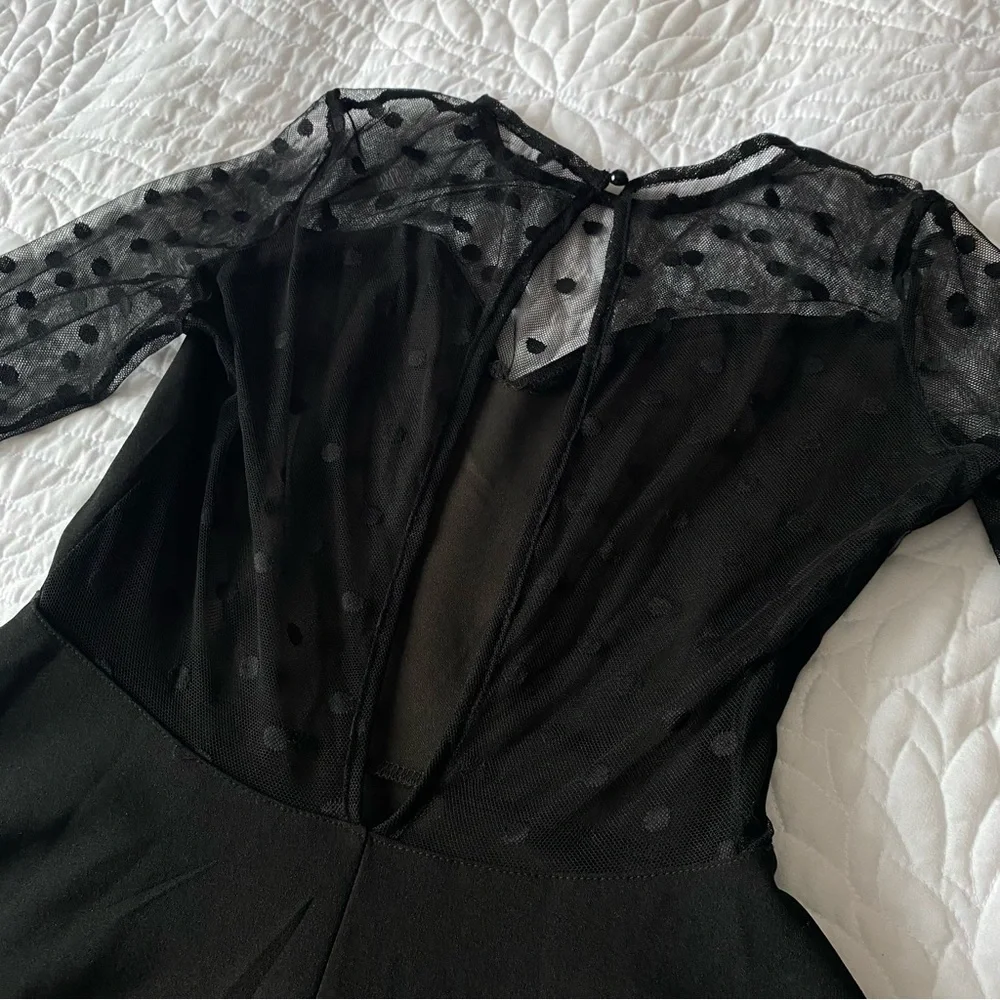 Black Dress w Sheer Polka Dot - Picture 5 of 7